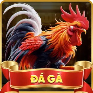 Khuyến mãi hấp dẫn