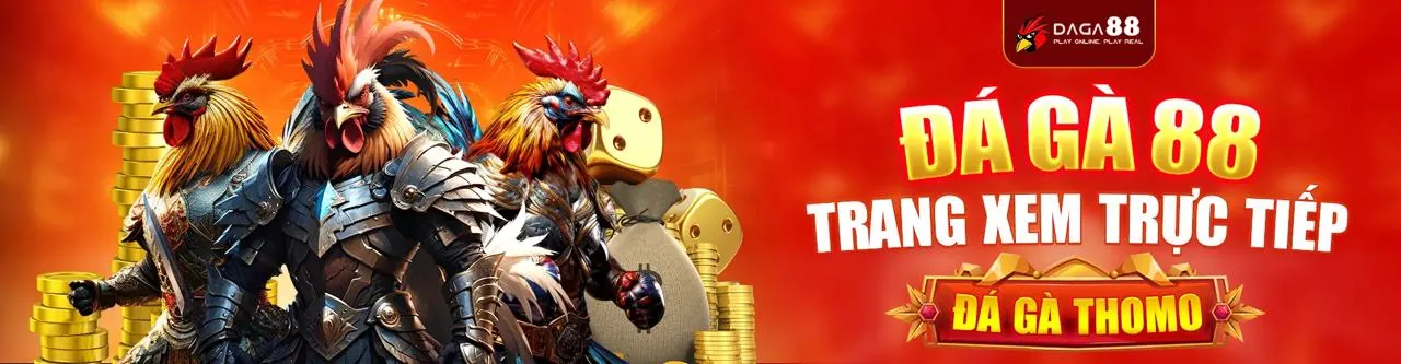 Đấu trường đá gà kịch tính tại 123B